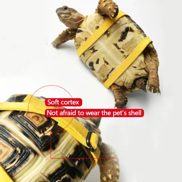 Reptile leash attached to a turtle for outdoor walking