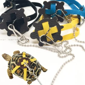 Adjustable reptile leash, black strap detail