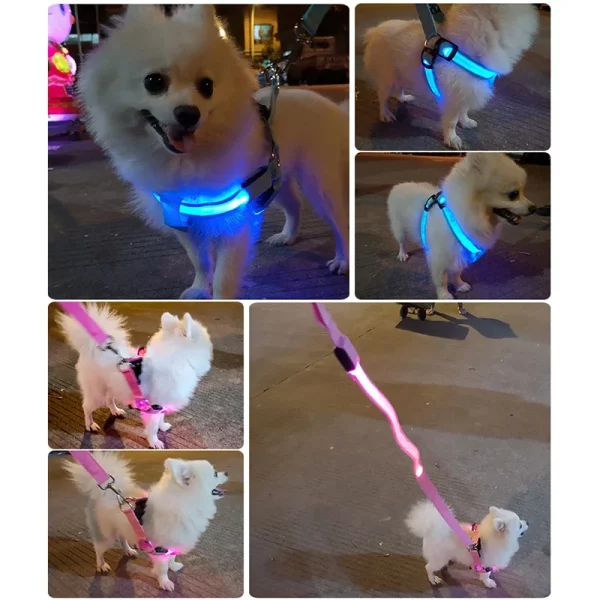 Product shot of the LED pet harness from multiple angles