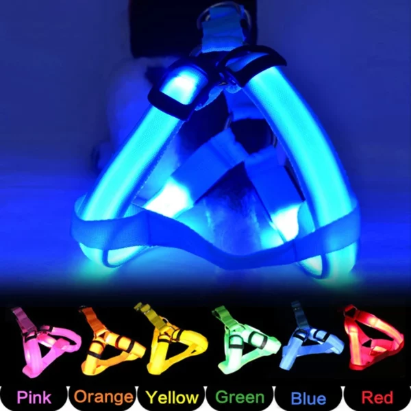 Close-up of the LED pet harness buckle and illuminated strip