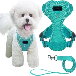 Comfortable, Secure, and Enhanced Small Dog Harness in Lightweight Blue Mesh - Adjustable Reflective Vest - Perfect for