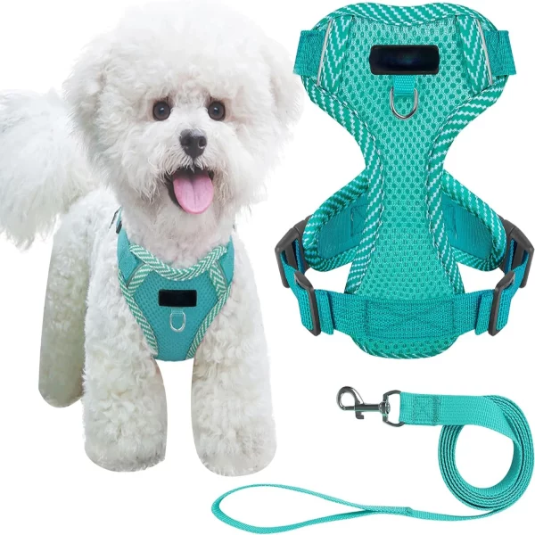 Comfortable, Secure, and Enhanced Small Dog Harness in Lightweight Blue Mesh - Adjustable Reflective Vest - Perfect for