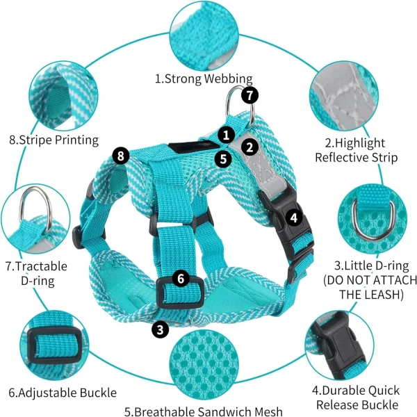 Comfortable fit of a blue mesh dog harness on a small breed