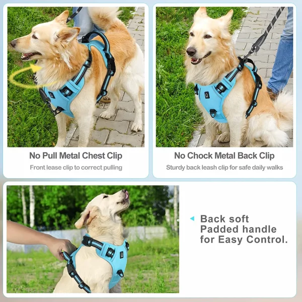 Detail of the reflective stitching on a dog walking harness