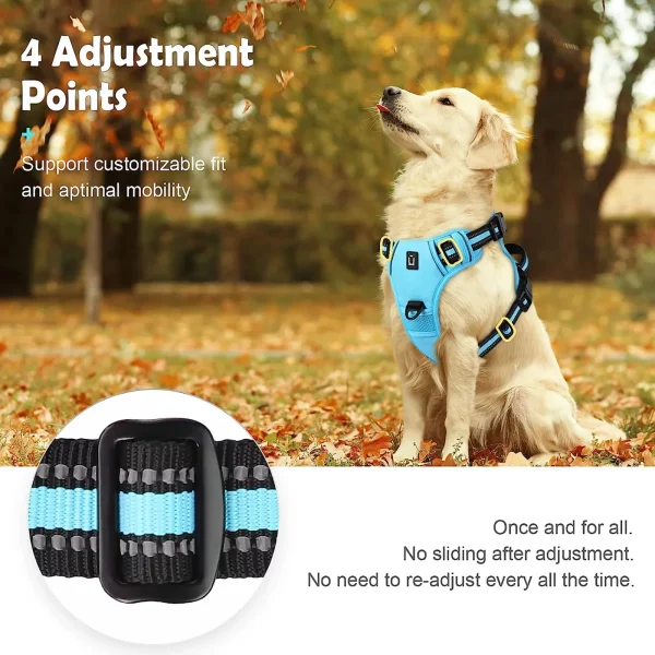Dog wearing a green no pull harness, showing the chest padding