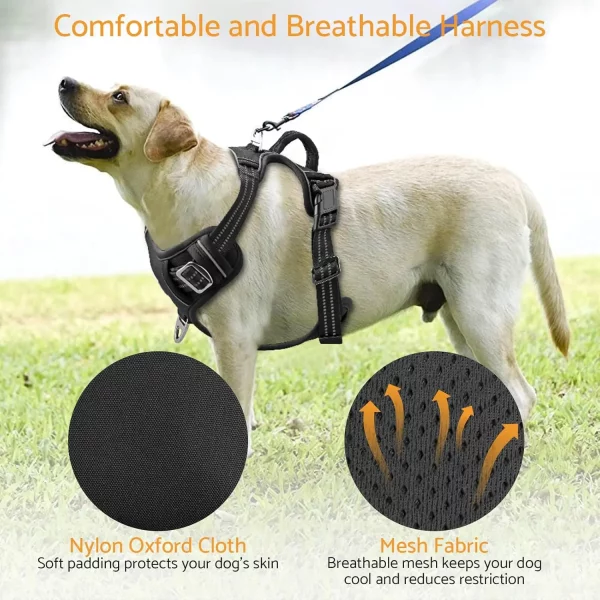 No-pull dog harness, close-up of reflective strips for visibility