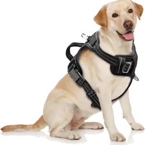 Dog Harnesses