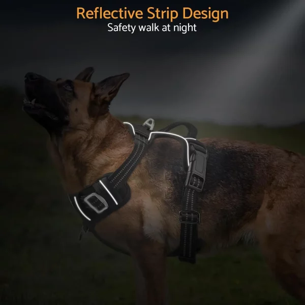 No-pull dog harness, close-up of adjustable straps for a custom fit