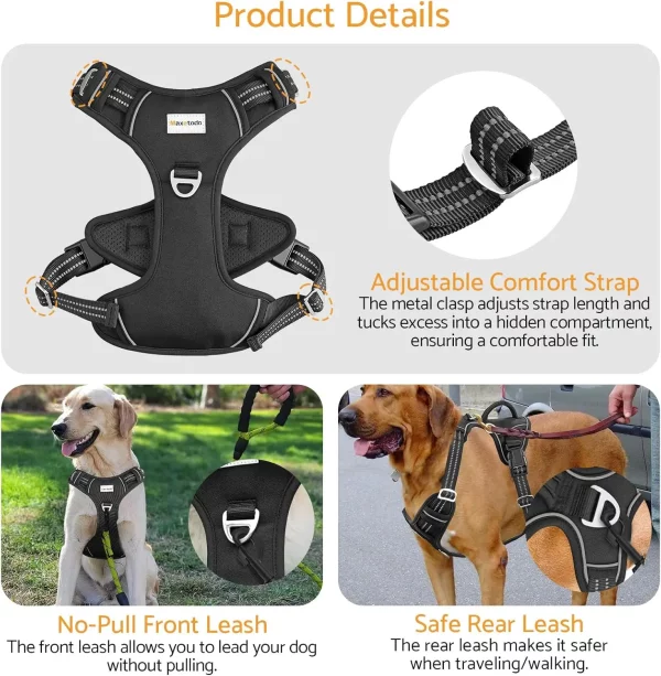 No-pull dog harness, back view, with integrated control handle