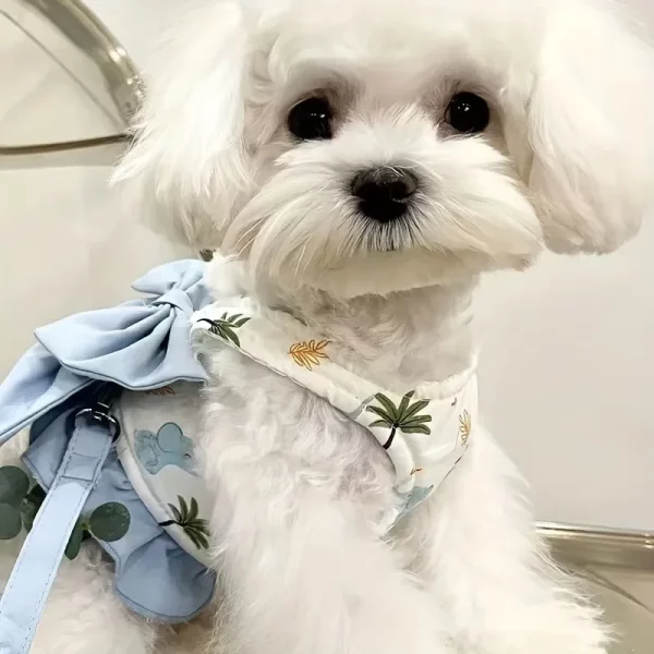 Dog vest harness, close-up of buckle and stitching