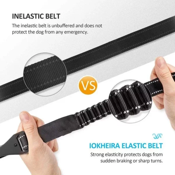 Dog car seat belt with elastic buffer section highlighted