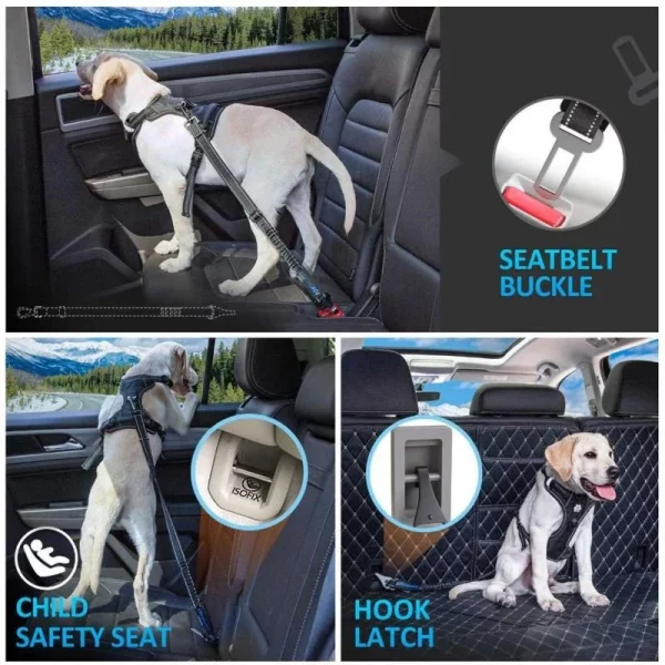 Dog wearing a harness attached to the adjustable car seat belt