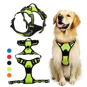 Front view of a reflective dog harness vest in use
