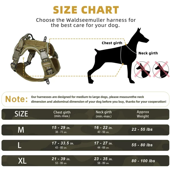 Close-up of MOLLE webbing on military-style dog vest