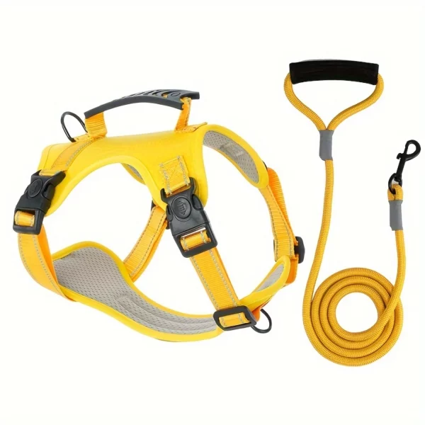 High-Visibility Reflective Dog Harness & Leash Set - Soft Mesh Pet Vest with Enhanced Padding for Secure,
