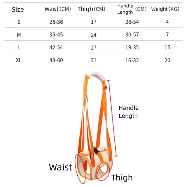 Side view of a dog using the adjustable sling for hind leg support