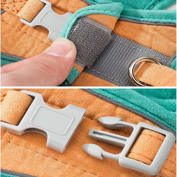 Matching leash with comfortable handle for pet walking