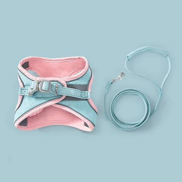 Small dog wearing pink blue harness and leash set, side profile
