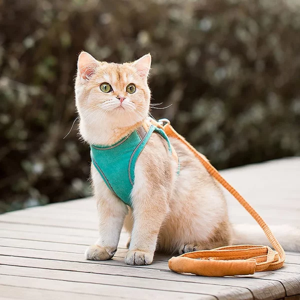 Cat wearing pink blue adjustable harness and leash set, side view