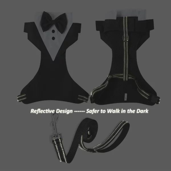 Dog in tuxedo harness, back view showing leash attachment