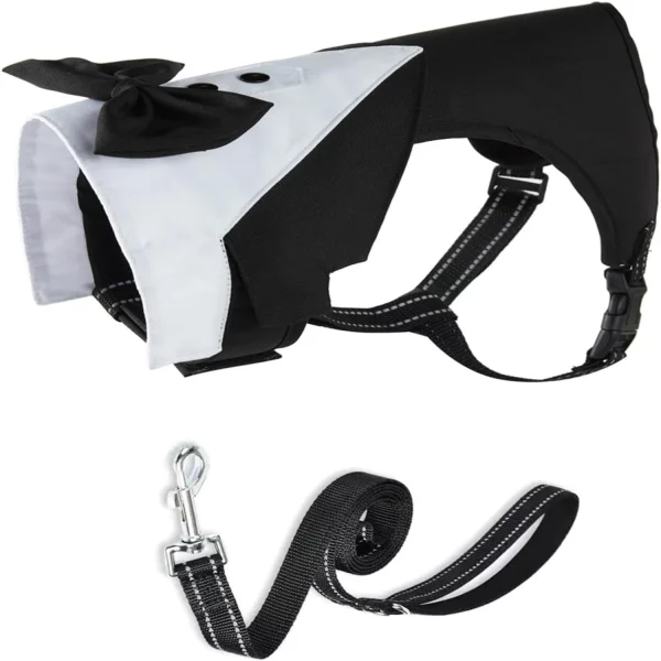 Dog in black tuxedo harness, full body shot