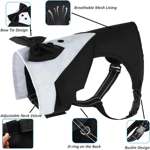 Close-up of the dog tuxedo harness detail