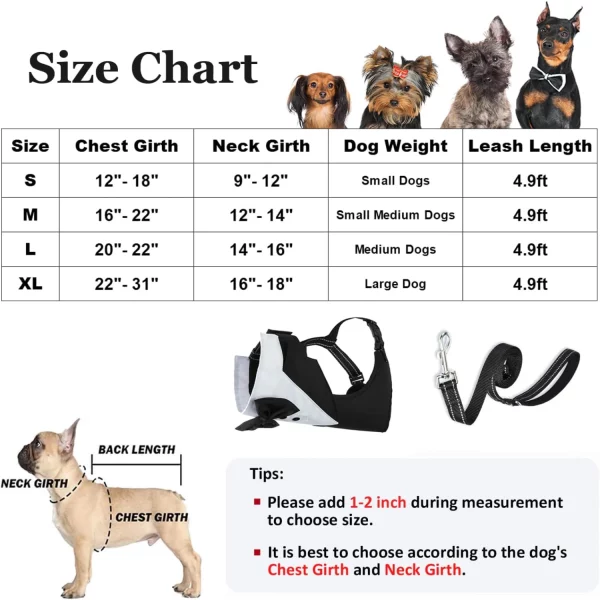 Dog in black tuxedo harness, side profile