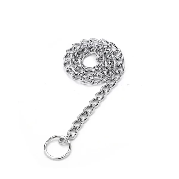 Full view of the silver stainless steel dog pinch collar and lead set