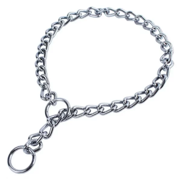 Close-up of stainless steel dog pinch collar chain links and clasp
