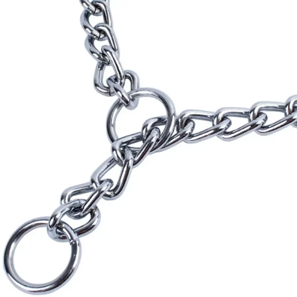 Detail of the adjustable buckle mechanism on the dog pinch collar