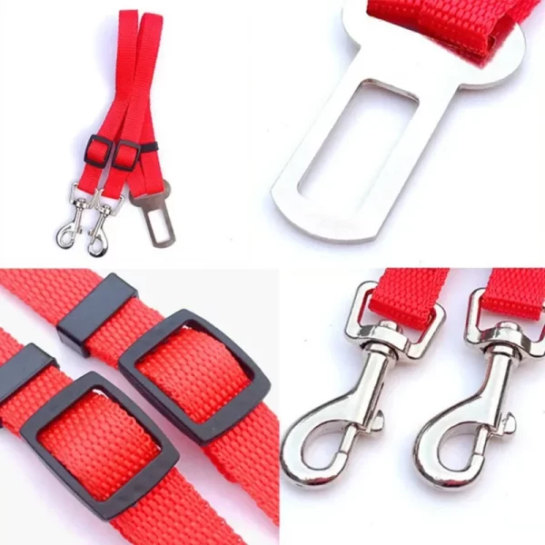Two dogs secured in a car using the double-headed pet car safety belt