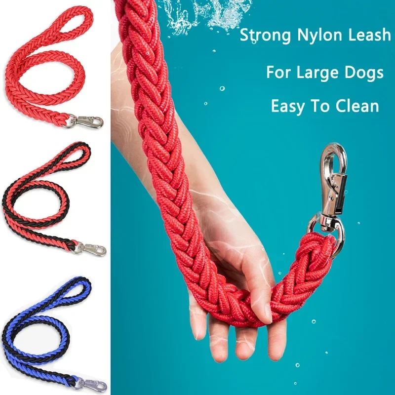 Large dog leash, presented with a medium-sized dog