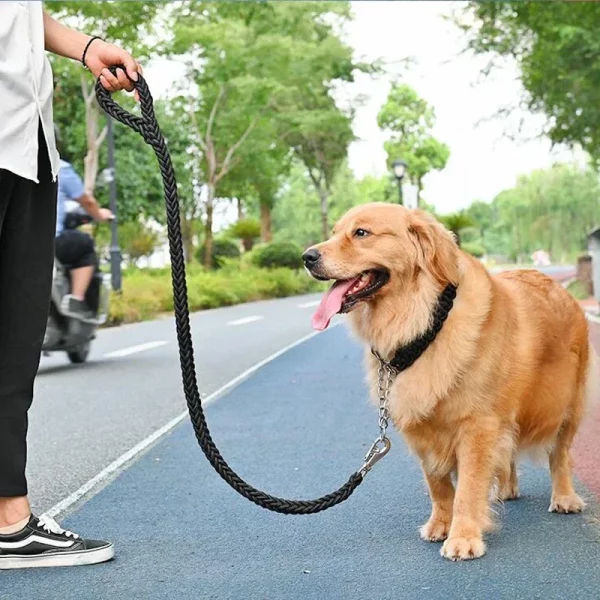 Nylon dog leash, demonstrating its flexibility and strength