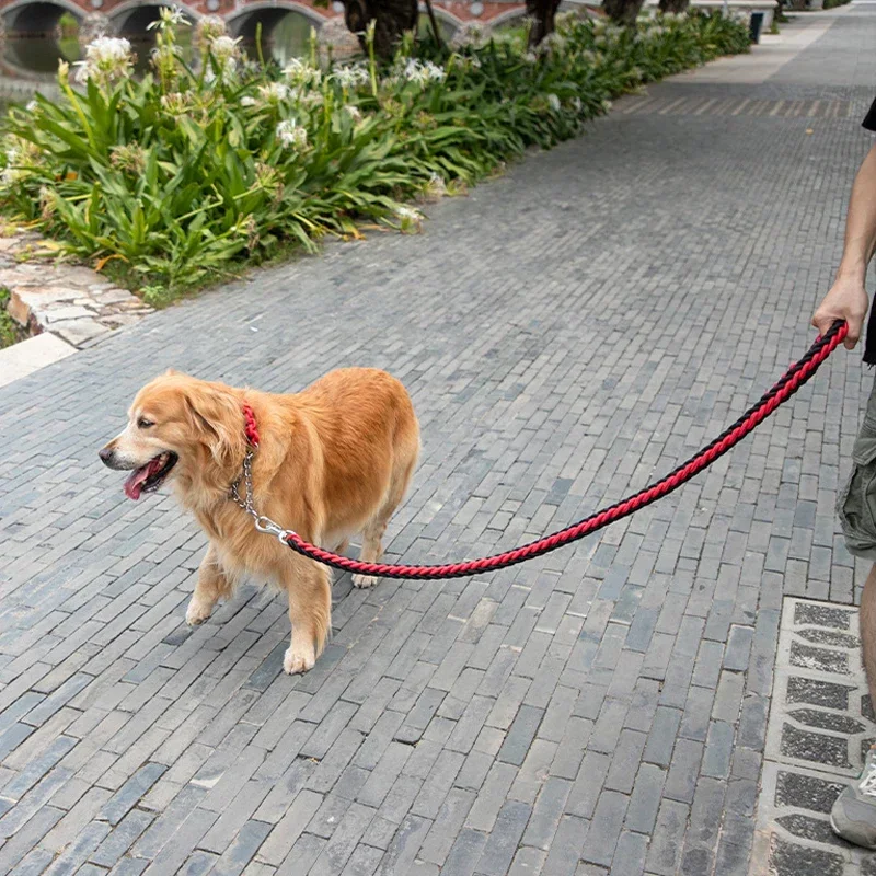 Heavy duty dog leash, laid out flat to show full length