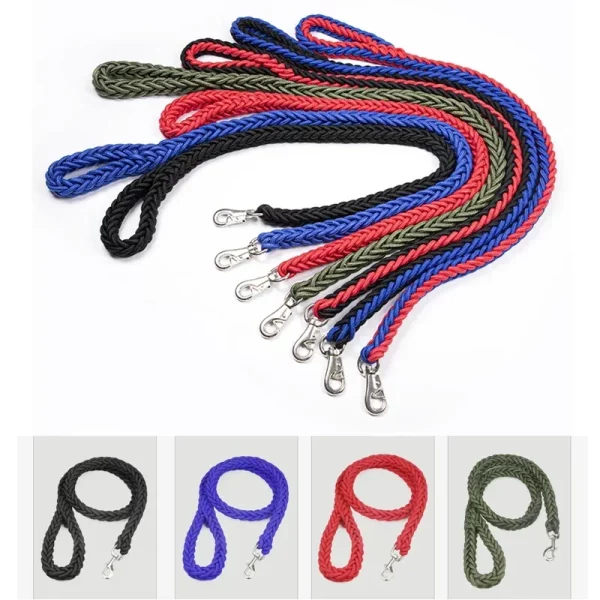 Large dog leash, presented with a medium-sized dog