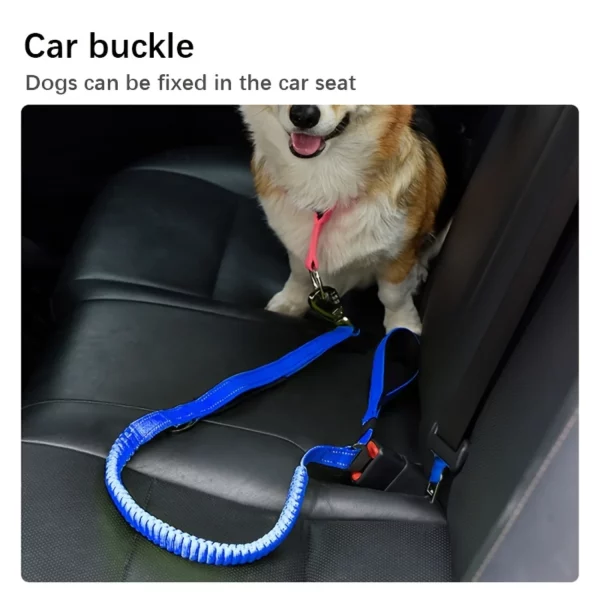 Dog rope leash laid out flat, showcasing the durable rope material and stitching.