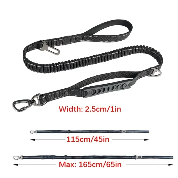 Dog rope leash configured for hands-free walking, attached to a dog's waist.