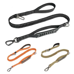 Dog Collars Leashes