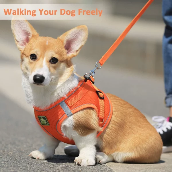 Side view of the pink striped dog harness on a pet