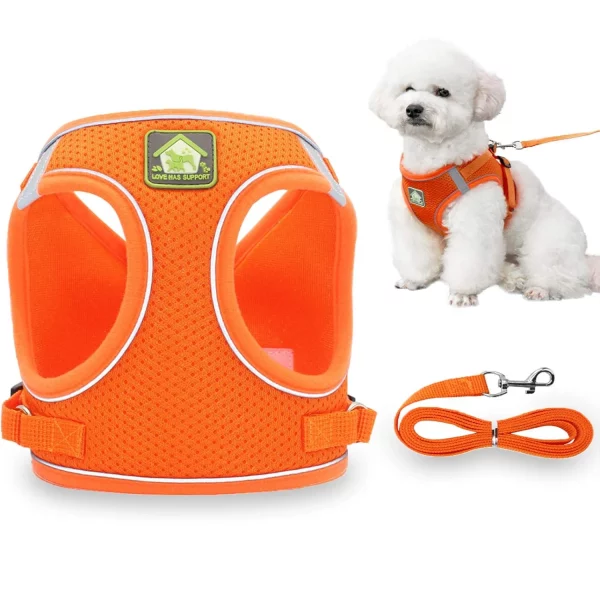 Dog Harness and Leash Set, No-Pull Puppy Vest for Small Dogs and Cats, Easy Control Vest Harness with Adjustable Straps