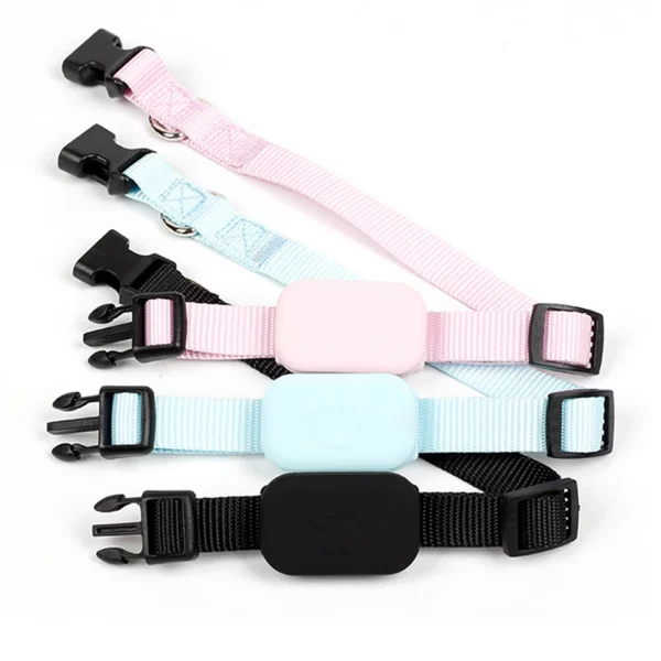 Mini GPS tracker attached to a dog's collar during an outdoor walk