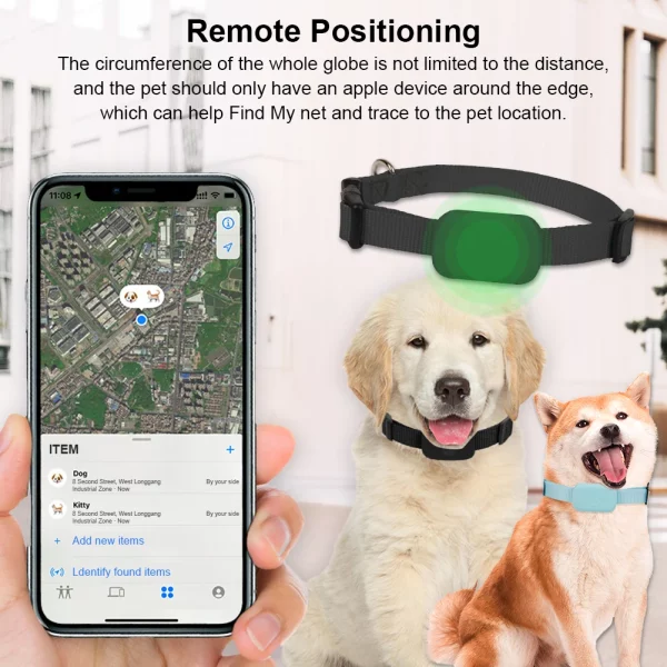 Pet GPS tracker securely fastened to a dog's collar strap