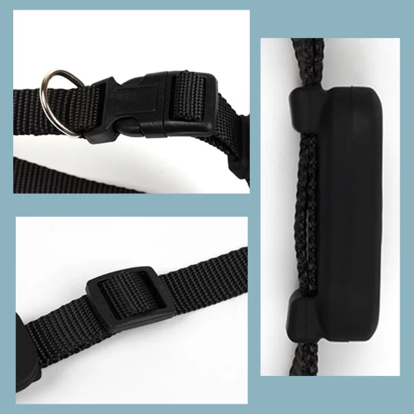 Pet GPS tracker in use during an outdoor activity, attached to a dog's collar