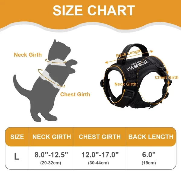 Khaki cat harness with attached leash, ready for a walk