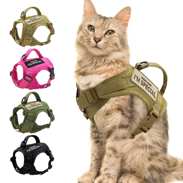 Black nylon cat harness worn by a cat, front view