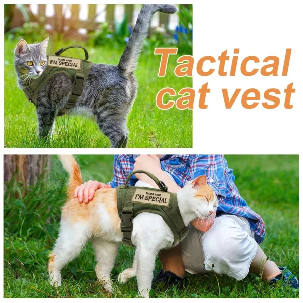 Detail of soft interior padding on a cat harness for comfort