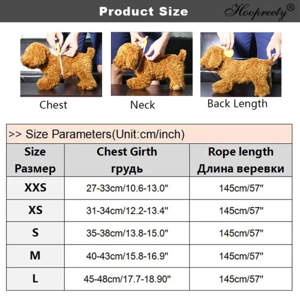 Cat harness with bowtie and bell, showing cute details