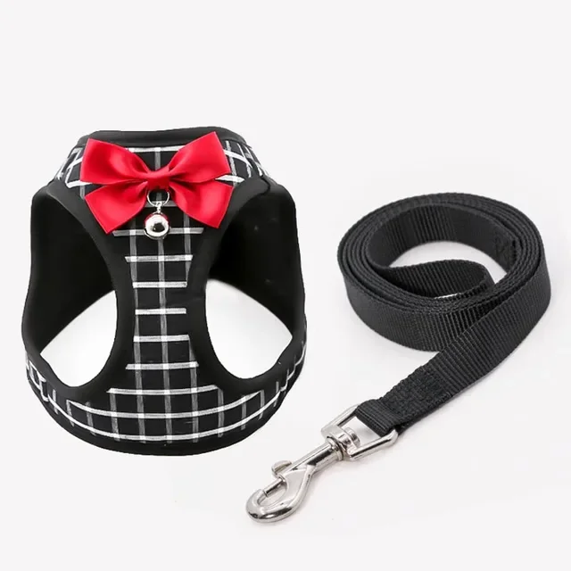 blackfor small pet