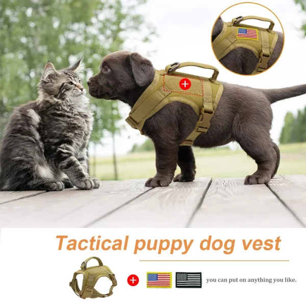 Cat wearing the tactical harness, demonstrating fit and freedom of movement