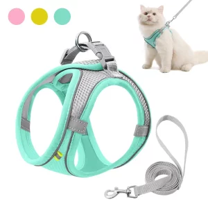 Cat wearing a green adjustable cat harness, front view